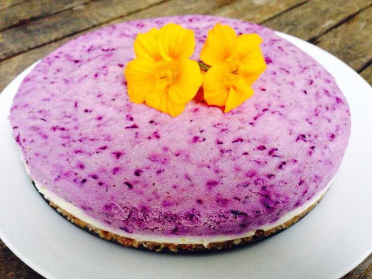 Raw Vegan Lemon Blueberry Cheescake (DF, GF,SF) - The Wellness Coach