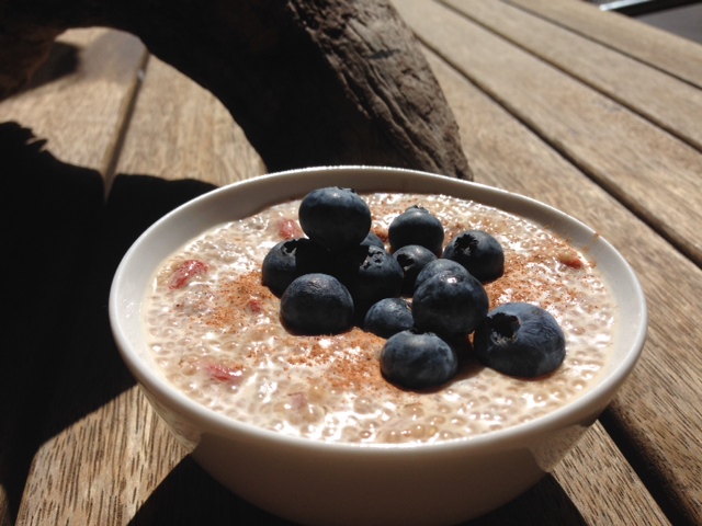 Chia Seed Porridge with Goji Berries - The Wellness Coach